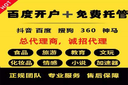SEO与百度推广结合的营销策略——经典案例解析
